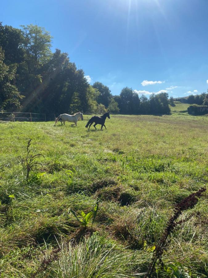 Chez Sophie -Chambres D'Hotes, Gite Et Gite Equestre Clermont-Dessous エクステリア 写真